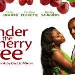 Witness21 Editor  2018 03 21