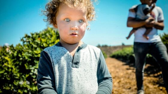 Young child with curly hair and blue eyes stands in a sunlit field, with a man holding a baby in the background.
