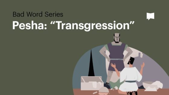 Transgression - Bible Study, Movies & TV - BibleProject
