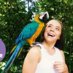 Witness21 Editor  2018 05 31