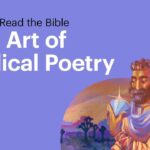 Witness21 Editor  2018 05 24