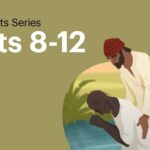 Witness21 Editor  2018 06 21