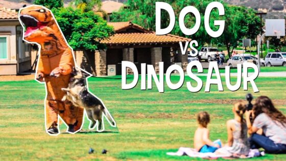 Thumbnail of a large dinosaur costume vs a dog in a grassy park, with kids watching and the title 'DOG vs DINOSAUR' in bold white letters.