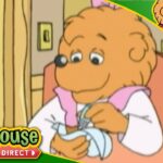 The Berenstain Bears – Sister Bear Special - Kids TV Series, Kingdom Kids Zone - Treehouse Direct