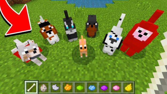 How to Spawn NEW WOLVES in Minecraft TUTORIAL! (Pocket Edition, Xbox, PC) - Gameplay, Kingdom Kids Zone, Minecraft - EYstreem