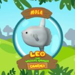 Witness21  2018 08 23