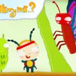 Nature Adventures for Kids – Becoming a Butterfly | Cartoons for Kids | The Day Henry Met…? - Kids TV Series, Kingdom Kids Zone - The Day Henry Met