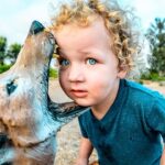 Young child with curly blonde hair and a blue shirt leans in as a sea lion nuzzles its nose against the child's cheek outdoors.