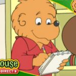 The Berenstain Bears – New School Year - Kids TV Series, Kingdom Kids Zone - Treehouse Direct