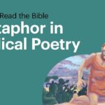 Witness21 Editor  2018 09 07