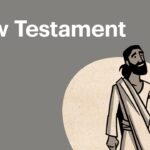 Witness21 Editor  2018 09 20