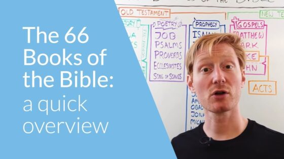 The 66 Books of the Bible: a Quick Overview - Bible Study, Movies & TV - OverviewBible