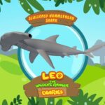 Witness21 Editor  2018 09 26