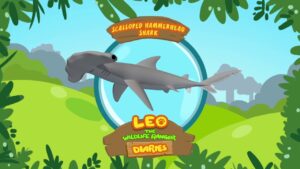 Witness21 Editor  2018 09 26