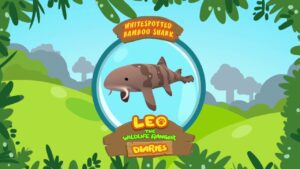 Witness21 Editor  2018 10 26