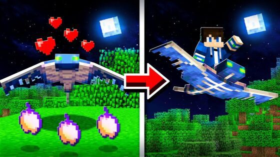 How to TAME AND RIDE PHANTOMS in Minecraft! (Pocket Edition, Xbox, PC) - Gameplay, Kingdom Kids Zone, Minecraft - EYstreem