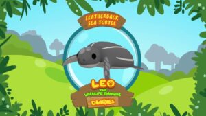 Witness21 Editor  2018 10 19