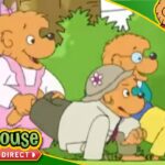 The Berenstain Bears | Family Gatherings - Kids TV Series, Kingdom Kids Zone - Treehouse Direct