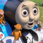 Animals Around the World | Big World! Big Adventures! | Thomas & Friends - Kids TV Series, Kingdom Kids Zone - Thomas & Friends