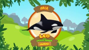 Witness21 Editor  2018 11 16