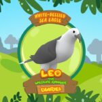 Witness21  2018 11 09