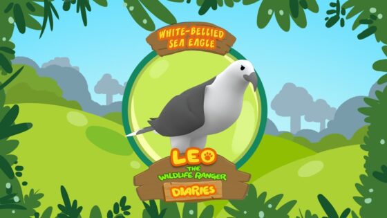 Witness21  2018 11 09