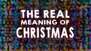 Night Owls & Early Birds – The True Meaning of Christmas - Kingdom Kids Zone, Seed of Faith - Owlegories