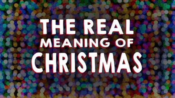 Night Owls & Early Birds – The True Meaning of Christmas - Kingdom Kids Zone, Seed of Faith - Owlegories