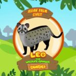 Witness21  2018 12 14