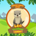 Witness21  2019 01 29