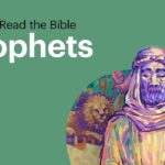 Witness21 Editor  2019 01 17