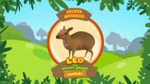 Witness21 Editor  2019 01 04