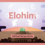 Witness21 Editor  2019 02 28