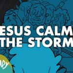 Witness21 Editor  2019 02 04