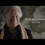 Witness21 Editor  2019 02 19