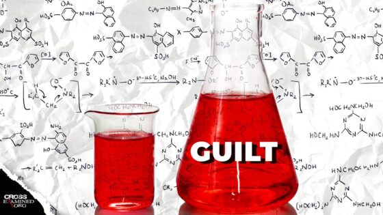 Is Guilt Just a Chemical Reaction? - Morality & Meaning, Truth Seekers - Cross Examined