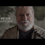 Witness21 Editor  2019 02 18