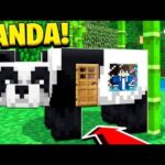 How to Live Inside a PANDA in Minecraft Tutorial! (Pocket Edition, PS4/3, Xbox, PC, Switch) - Gameplay, Kingdom Kids Zone, Minecraft - EYstreem