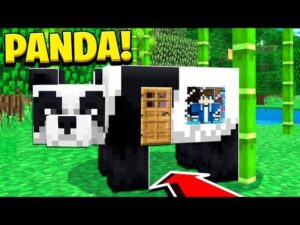 How to Live Inside a PANDA in Minecraft Tutorial! (Pocket Edition, PS4/3, Xbox, PC, Switch) - Gameplay, Kingdom Kids Zone, Minecraft - EYstreem
