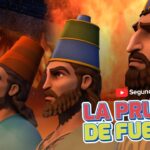 Witness21 Editor  2019 03 27