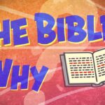 Witness21 Editor  2019 05 02