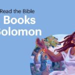 Witness21 Editor  2019 06 27