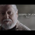 Witness21 Editor  2019 07 18