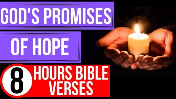 Hope Bible verses (God's promises)(Encouraging Bible verses for sleep)(worry & anxiety) - Hope & Healing, Meditations - Peaceful Scriptures Official