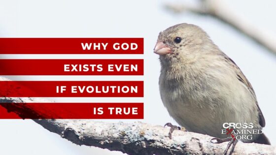 Why God exists even if evolution is true - Science & Faith, Truth Seekers - Cross Examined