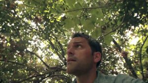 Why was the Ancient City of Dan so Important? - Documentaries, Movies & TV - Drive Thru History with Dave Stotts