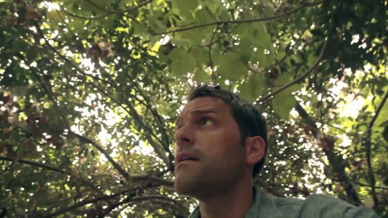 Why was the Ancient City of Dan so Important? - Documentaries, Movies & TV - Drive Thru History with Dave Stotts