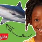 Highlights Kids – Animals! | Full Episode | Kids Videos | FUN with a Purpose - Kingdom Kids Zone, Little Learners - Highlights Kids