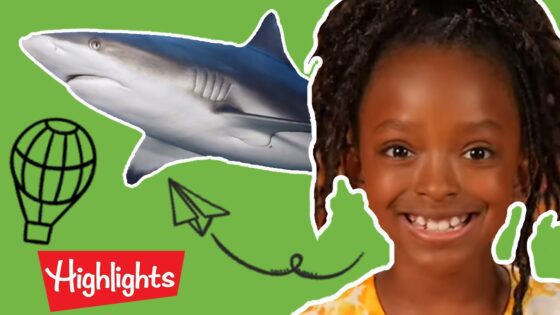 Highlights Kids – Animals! | Full Episode | Kids Videos | FUN with a Purpose - Kingdom Kids Zone, Little Learners - Highlights Kids