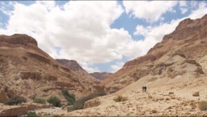 David Water Found in the Deserts of Ein Gedi - Documentaries, Movies & TV - Appian Media